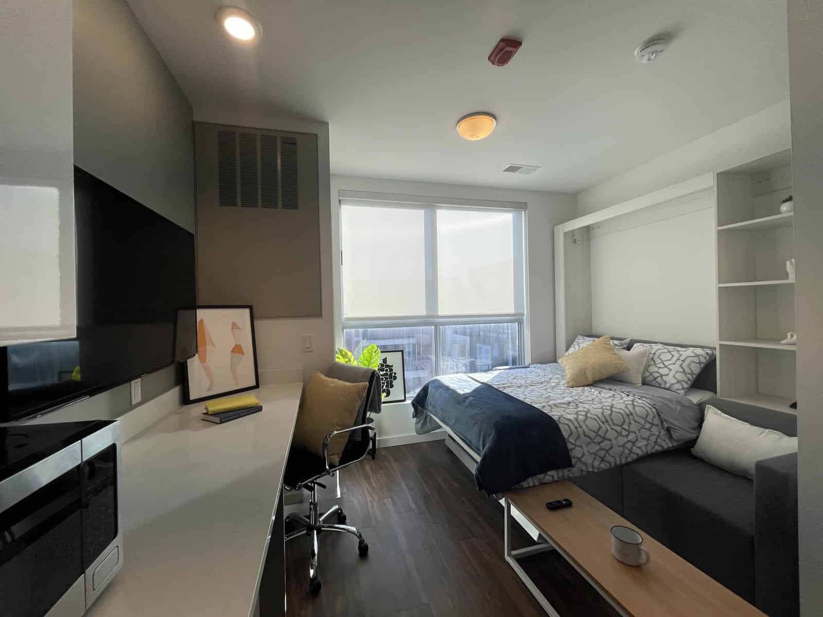 307 E Daniel — student accommodation in Champaign